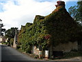 Ivy covered cottage, Withington