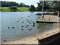 The boating lake jetty, Hemsworth Water Park