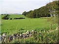 Pasture fields between Broomhill and Shawmount