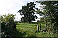 Footpath to Rushbrooke