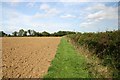 Footpath to Rougham Green