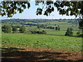 The Otter valley near Ullcombe