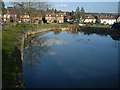 Looking over Bearsted Pond towards Bearsted Green