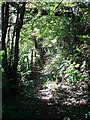 Footpath west from Charing Hill