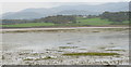 SH4460 : The Mouth of Y Foryd at Ebb Tide by Eric Jones