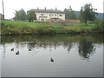 SE5023 : The Steam Packet Pub, from the canal bank near Cow Lane Bridge, Knottingley. by Bill Henderson