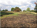 Aftermath of fire at Hodge Hill Common