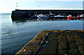 NH9184 : Portmahomack harbour by David Maclennan