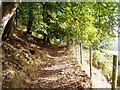 Footpath through Coed Bwlch Coch.