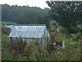 Allotment at Thackley