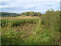 Barn at Bidlake