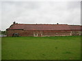 Horse and outbuildings