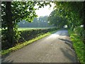 Country road near Floristonrigg