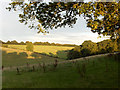 Valley beside Pentico Wood