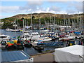 Tarbert Yacht Series 2006.