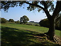 Field near Yarcombe