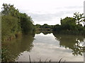 Fishing ponds at Trench