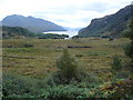 Tollie Farm and Loch Maree