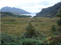 NG8678 : Tollie Farm and Loch Maree by Roger McLachlan