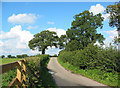 Mill Lane, near Blakenhall