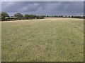 Field beside the B3042