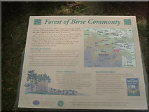 NO5791 : Forest of Birse Commonty by Stanley Howe