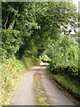 Lane near Combebow