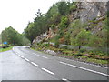 NH5431 : Layby on the A82 by Loch Ness. by Johnny Durnan