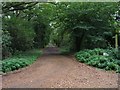 Bridleway to Froggats Cottage