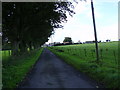 NZ0277 : Farmland approaching Kirkheaton by P Glenwright