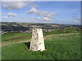 The trig point on Hardie