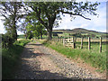 Track near Hallrule Farm