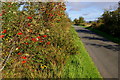 Road at Viol Moor