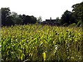 Maize and Hydes Cottages