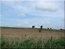 SE4735 : Coldhill Lane, view of Garlic Flats by Bill Henderson