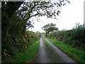 Lane near Berthlwyd