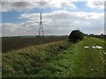 Field, pylon, bush and drain