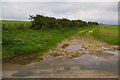 Bridleway near Thirkleby Manor