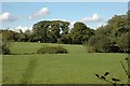 Grazing Field, Wainsford Road, Pennington