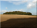 Farmland, Baydon Hole