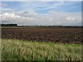 Looking Towards The Wolds