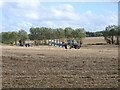 Swale Ploughing Match