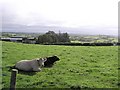 Glenbeg Townland