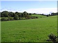 Ballymacall Townland