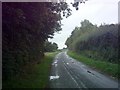TM3981 : Butt's Road, Cox Common by Geographer