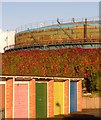 Gasometer, garages and creeper