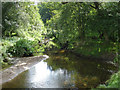 SJ6575 : Anderton Nature Park - Lesley's Leap by Mike Harris