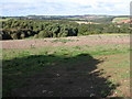 Naunton Downs