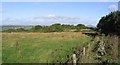 Rough grazing near Ruecastle Farm