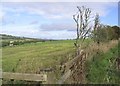 Field boundary at Wester Fodderlee Farm